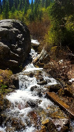 Near Camp Misery, Jewel Basin, June 25, 2017