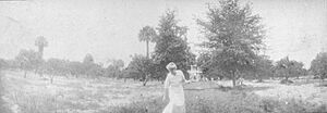 PALATKA - Bronson Mulholland House c1935 (1)