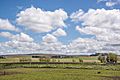 Flat farmland against a partly-cloudy sky
