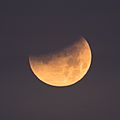 Partial Lunar Eclipse on 1-31-18 (26137564738)