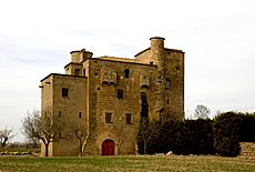 Ratera - Castell-molí1