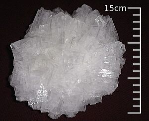 SaltCrystaUSGOV