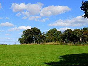 Site of St. Thomas a Becket's Church (Remains) - geograph.org.uk - 1500544.jpg