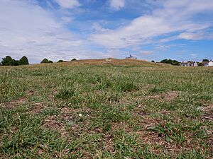 Southern Side of the Tumulus on Winn's Common, Plumstead