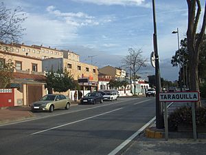 Taraguilla Av. del Guadarranque.jpg
