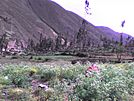 Tarma Province, Peru - panoramio - Tours Centro Peru (1).jpg