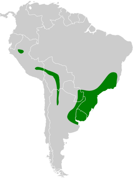 Thamnophilus ruficapillus map 2