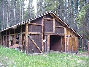 Timber Creek Road Camp Barn