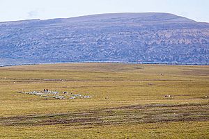 Toolik Lake Research Natural Area-Area of Critical Concern, Alaska (15709637541)