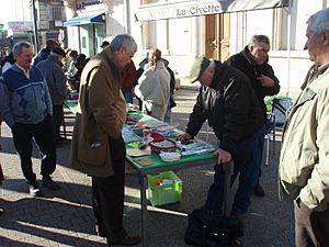 Truffle Market in Carpentras
