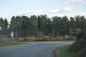Tye River Road at Greenfield Drive