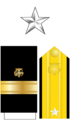 US PHS O7 insignia