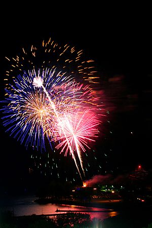 Victoria Day fireworks Toronto 2010