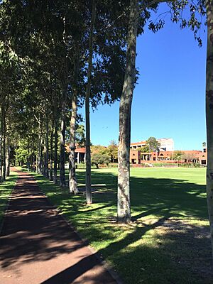View of Curtin University