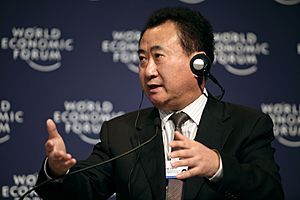 Wang Jianlin - Annual Meeting of the New Champions Dalian 2009