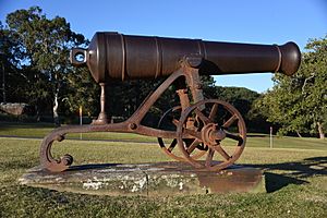 (1)Centennial Park cannon 020