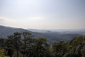 普洱茶马古道旅游景区 74