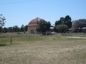1952 - Narrandera Showground Industrial Hall as viewed from Elizabeth Street. (5055538b1)
