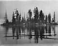 A01923 CVA 677 136 Deadman's Island 191