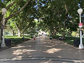 AUS Sydney, Central Business District, Hyde Park 020.jpg