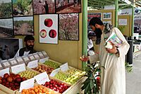 A fruit vendor at the Kabul International AgFair-2009