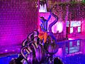 A photograph from ISKCON Radha Parthasarathi Mandir, New Delhi
