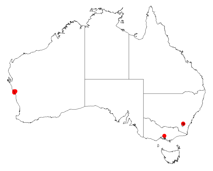 Acacia guinetiiDistMap410