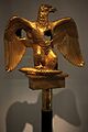 Aigle blessee-IMG 1402