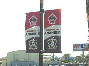 Anaheim-streetbanners-ducksangels
