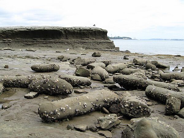 Archilles concretions scattered