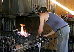 Australian blacksmith