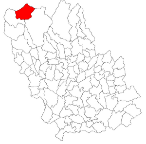 Location of Azuga