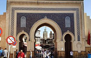 Bab Bou Jeloud-Fez-3