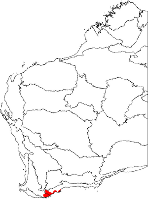 Banksia dryandroides map