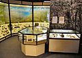 Barnstaple Museum Prehistory Gallery