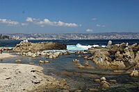 Beach near Reñaca 2