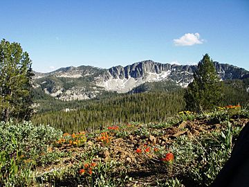 A photo of mountains and Indian paintbrush (Castilleja sp.) in Boise National Forest