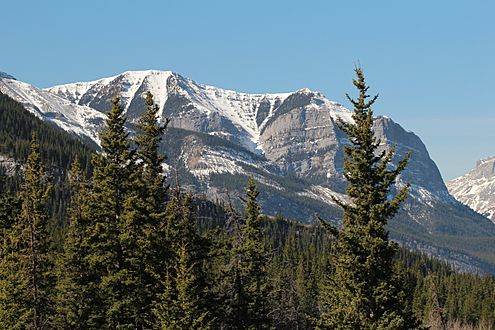 Bow valley provincial park walk around April 2015 (17028833740)