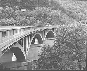 Bridge in Snake Spring Township