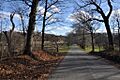 BrooklineMA BrandegeeEstateDrive
