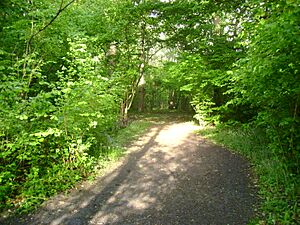 Butchers Wood, Hassocks