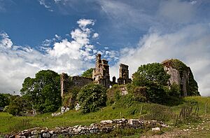 Castles of Munster, Castle Lyons, Cork - geograph.org.uk - 1393288