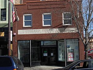 Chicagobee2