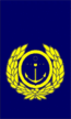 Chief Petty Officer (HKSCC).gif