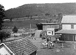 Cootes Store in 1895
