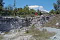 Dundee Limestone (Middle Devonian; Medusa North-North Quarry, Sylvania, Ohio, USA)