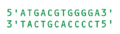 Example DNA sequence