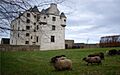 FasideCastle2