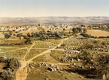 Flickr - …trialsanderrors - View from Tower of the Forty Martyrs, Ramleh, Holy Land, ca. 1895