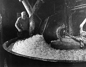 Florida Pulp and Paper Company mill, Cantonment, Florida